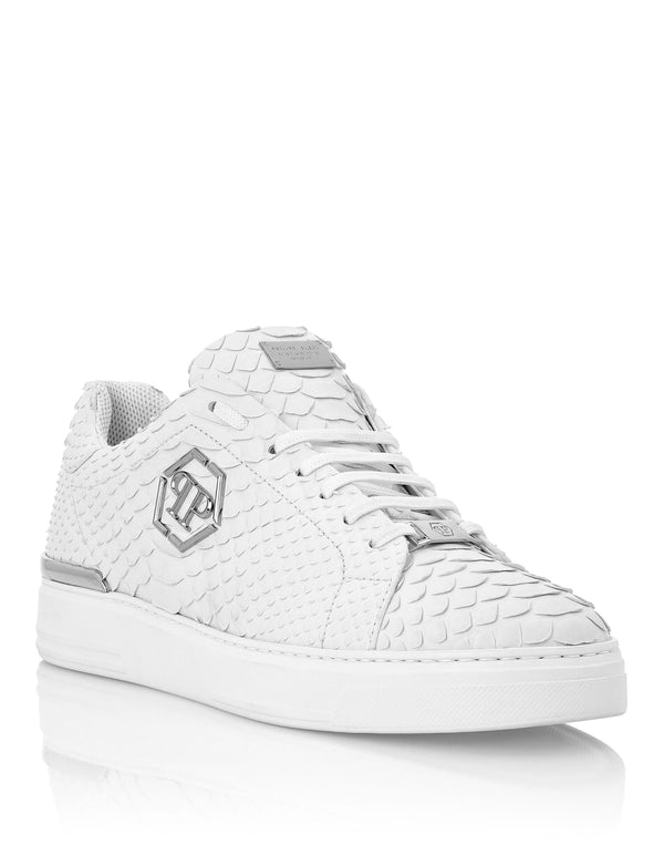 PHILIPP PLEIN Python Lo-Top Sneakers Luxury white